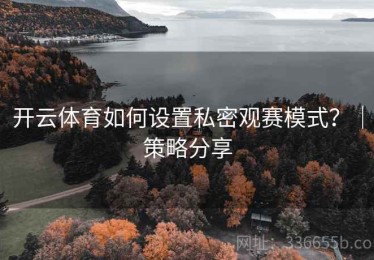 开云体育如何设置私密观赛模式？｜策略分享
