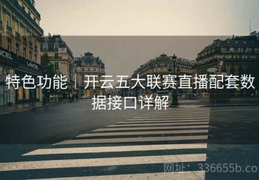 特色功能｜开云五大联赛直播配套数据接口详解