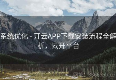 系统优化 - 开云APP下载安装流程全解析，云开平台