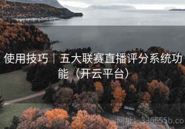 使用技巧｜五大联赛直播评分系统功能（开云平台）