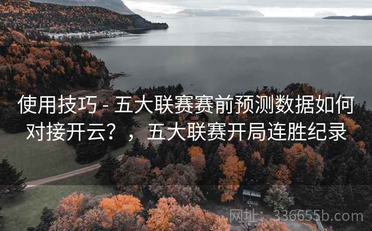 使用技巧 - 五大联赛赛前预测数据如何对接开云？，五大联赛开局连胜纪录
